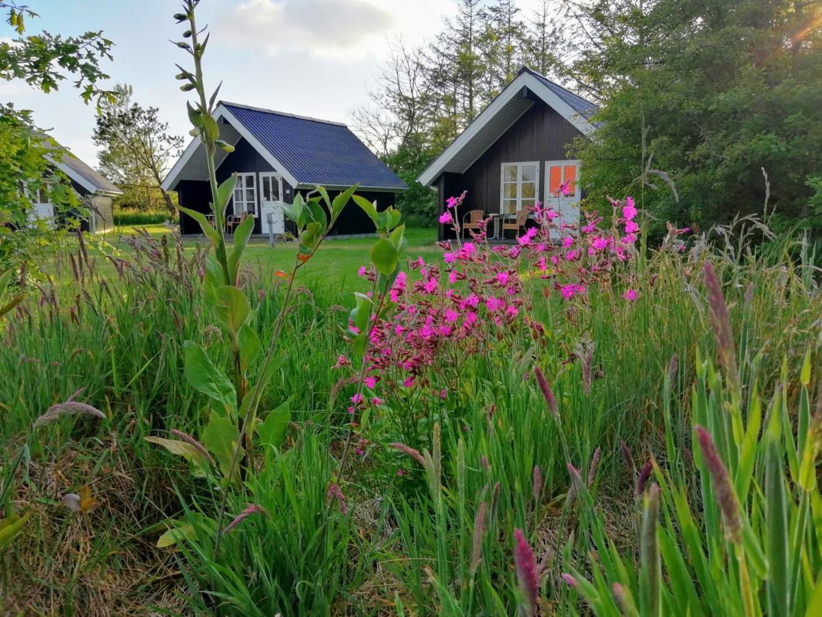 Lindvig - Ferie I Naturen Nymindegab ภายนอก รูปภาพ
